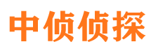 隆林寻人公司